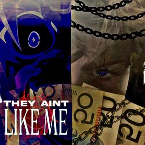 THEY AINT LIKE ME (feat. rheyr & SXMERIAN)