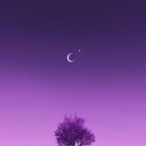 trash magic (sped up + reverb)