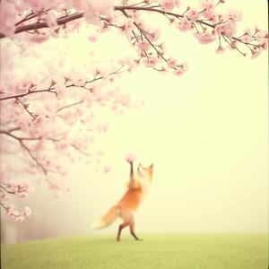 Kitsune Melodies by @eldhraun