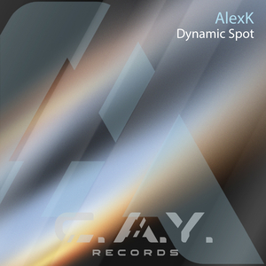 Dynamic Spot (original mix)