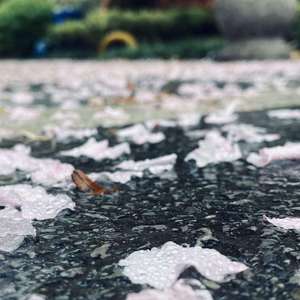 打雷了（重发版）