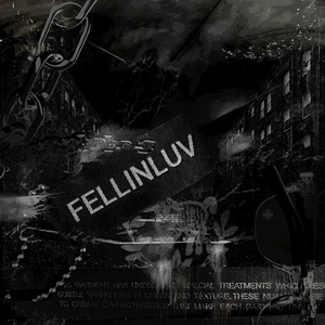 fellinluv
