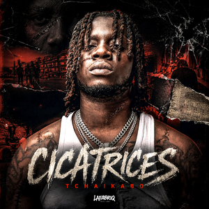 Cicatrices