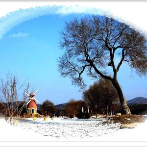 Ascended Vibrations（Cover ¿Téo?）