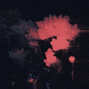 Своей дорогой (prod. by Acid Timmy)