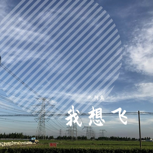 我想飞