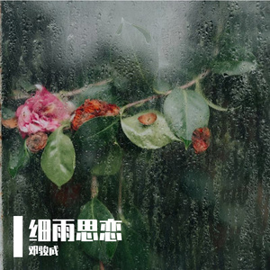 细雨思恋