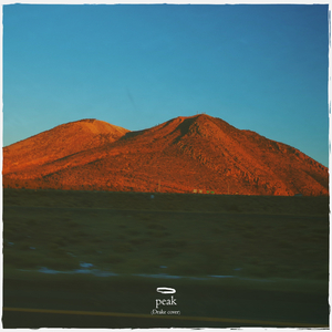 peak ((Drake cover))
