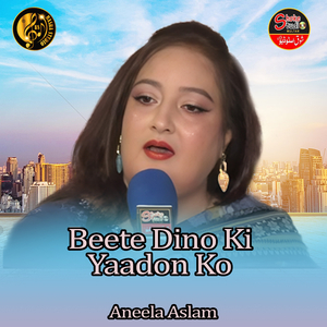 Beete Dino Ki Yaadon Ko (1)