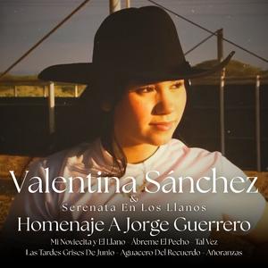 Homenaje A Jorge Guerrero: Mi Noviecita Y El Llano / Ábreme El Pecho / Tal vez / Las Tardes Grises De Junio / Aguacero Del Recuerdo / Añoranzas