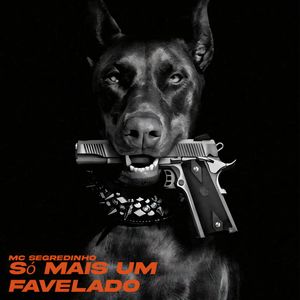 Só mais um favelado