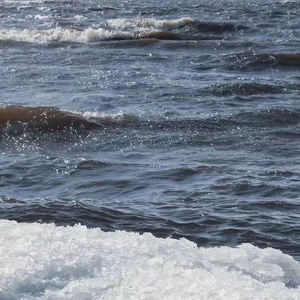 你从何处来 伴奏