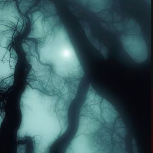 nothhing but chilling