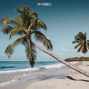 正在学习高级的轻音乐