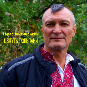 Цвітуть тюльпани