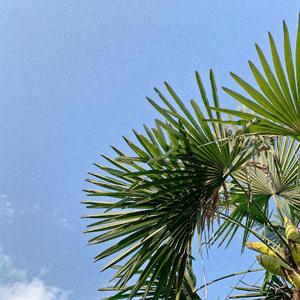 0706（Prod.Cyclope BeatZ)