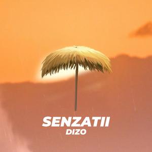 SENZATII (feat. angeles)