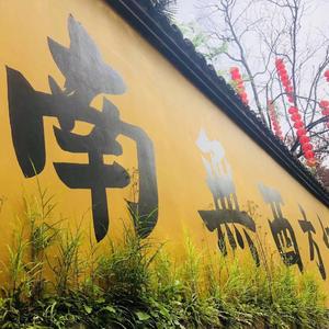 妈 妈 你 还 好 吗