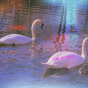 Rebirth of the Soul