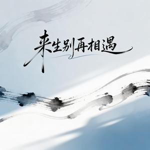 来生别再相遇（DJ版）
