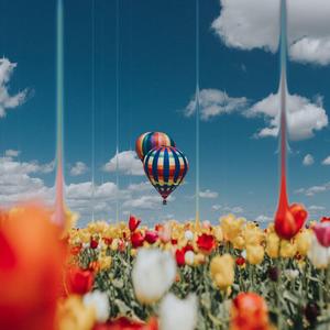 Solomon Islands Frost