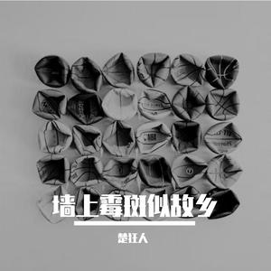 墙上霉斑似故乡