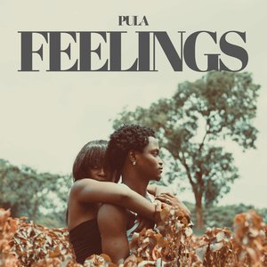 Feelings