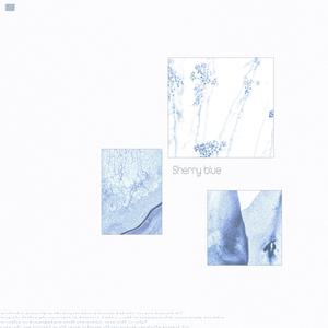 Sherry blue