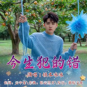 今生犯的错（舞曲版）