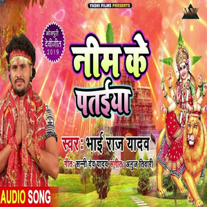 Neem Ke Pataiya