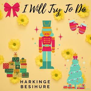 I Will Try To Do