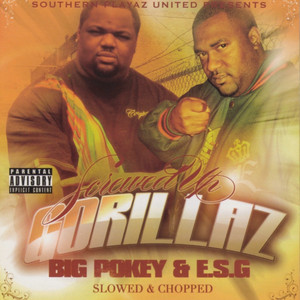 Nigga Don’t Understand Me (Slowed & Chopped)