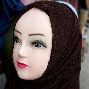 ארץ זבת חלב והאני