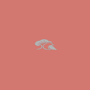 Scatterbrain