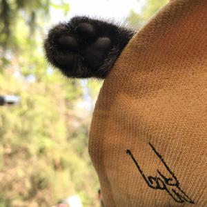 人生的旋转木马(钢琴版)