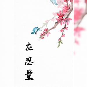 应思量（简易剧情版）