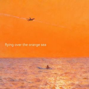 飞过橘子海