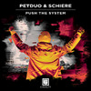 PETDuo - Push The System (Original Mix)