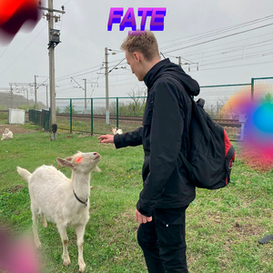 Fate