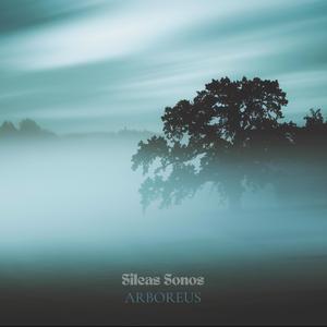 Arboreus