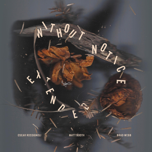 The Ineffable Allure of Shadows