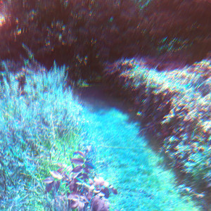 ビジョンログ: GROVE