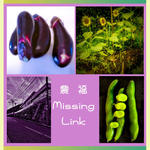 農福 Missing Link (feat. 弁財祈)