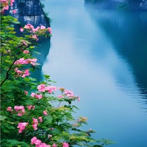 羡慕风羡慕雨（翻自 小月）