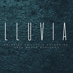 Lluvia Calmante Con Patas Juguetones