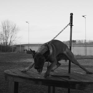 I Don't Know How to Say It