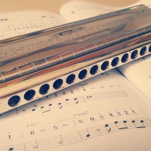 【小亮口琴】素晴らしき日常（Cover 高桥优）