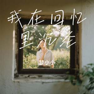 我在回忆里沉沦