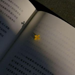 烁泪漾