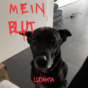 Palästina Weint (freestyle)